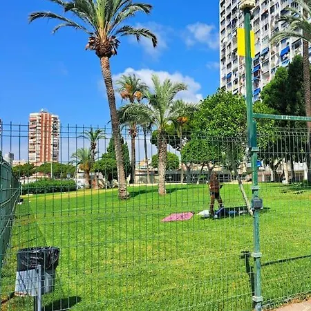 Studio In Benidorm With Sea View Exterior photo